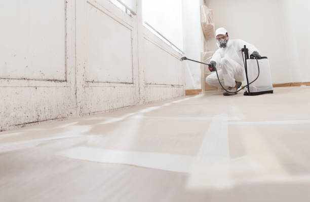 24/7 Emergency Mold Remediation experts in Swanton, MD